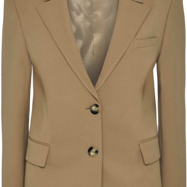 3596 Ginette Pointy Blazer