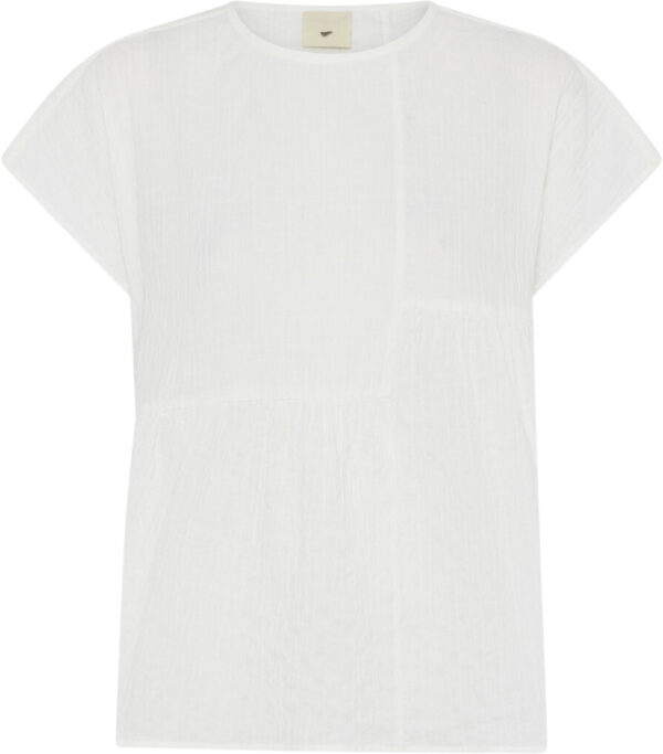 431 Terin top