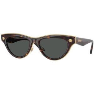 Solbriller Versace 0VE2273 108/87