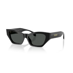 Versace 0VE4488U Solbriller - Runde Sort