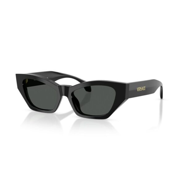 Versace 0VE4488U Solbriller - Runde Sort
