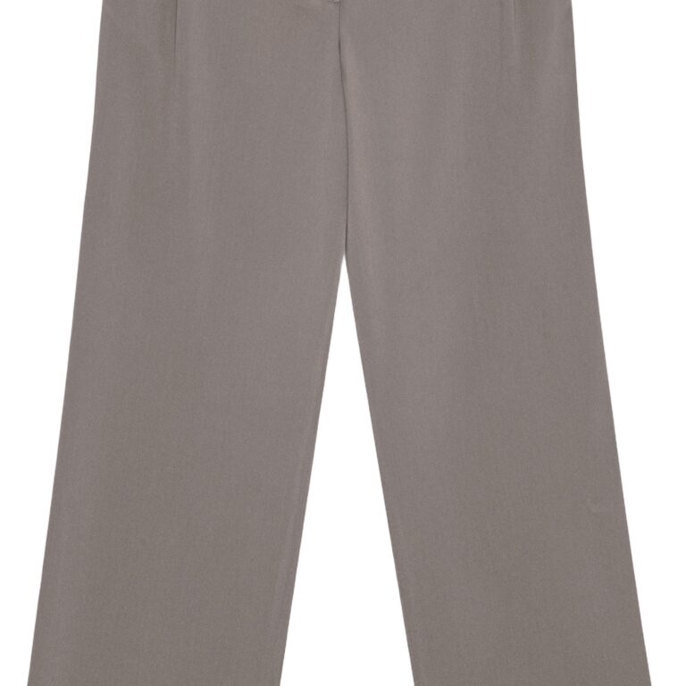 Wide Pants With Pleats